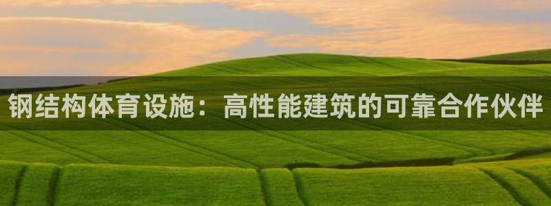 意昂3官方：钢结构体育设施：高性能建筑的可靠合作伙伴