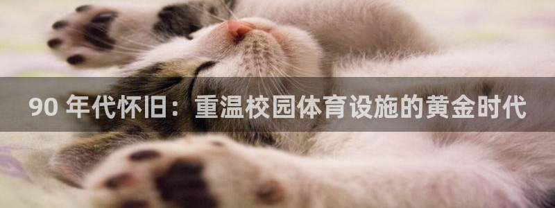 意昂体育3招商电话地址查询：90 年代怀旧：重温校园