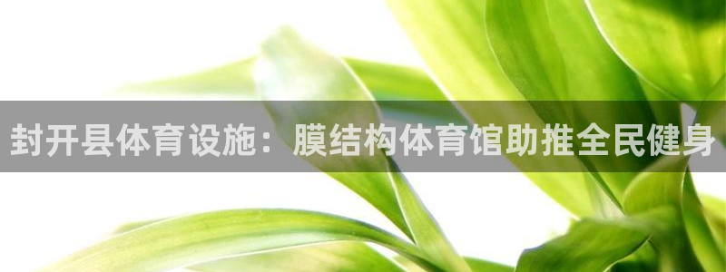 意昂体育3平台是正规平台吗知乎：封开县体育设施：膜结构体育馆