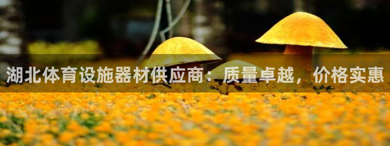 海南意昂体育3发展怎么样：湖北体育设施器材供应商：质