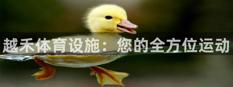 意昂3娱乐平台：越禾体育设施：您的全方位运动
