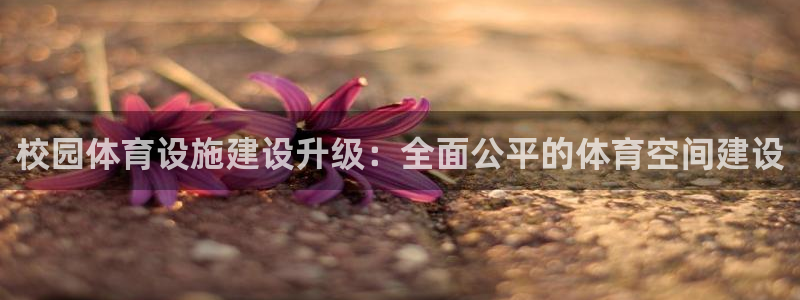 意昂平台体育