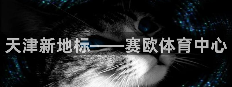 意昂3神州