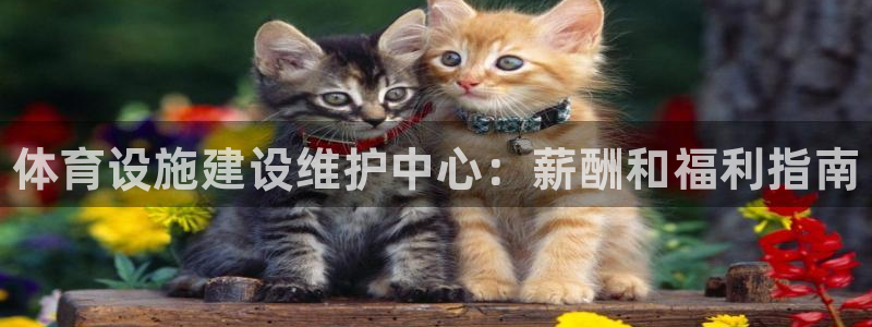 意昂体育3开户：体育设施建设维护中心：薪酬和福利指南 