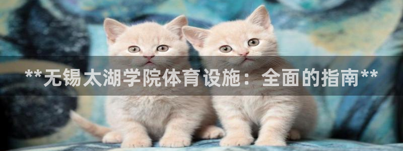 意昂3娱乐：**无锡太湖学院体育设施：全面的指南** 