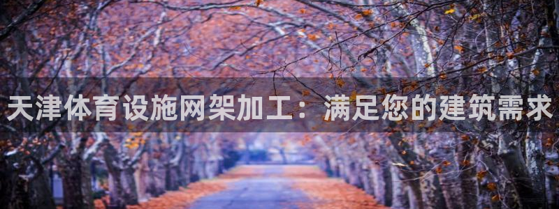 意昂体育3平台注册要钱吗：天津体育设施网架加工：满足您的建筑
