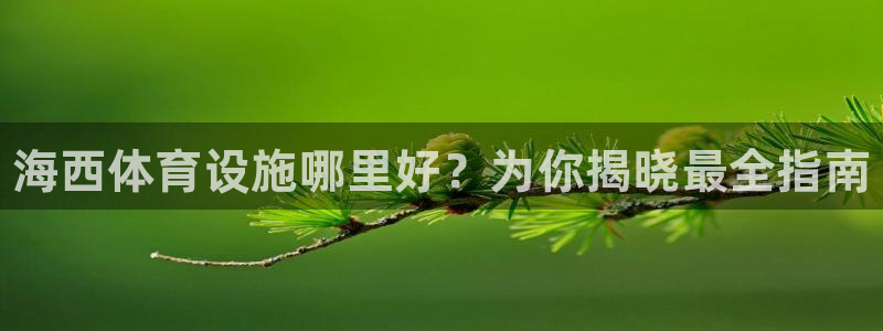 意昂体育3官方客服电话：海西体育设施哪里好？为你揭晓最全指南