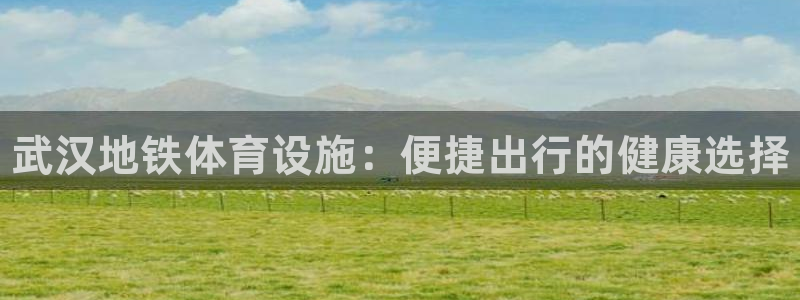 意昂体育3平台注册：武汉地铁体育设施：便捷出行的健康