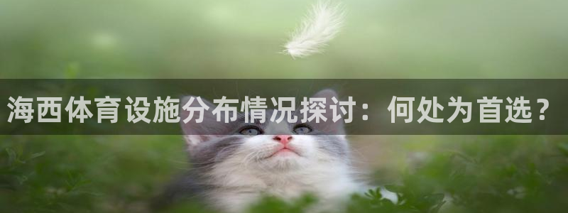 注册意昂3：海西体育设施分布情况探讨：何处为首选？