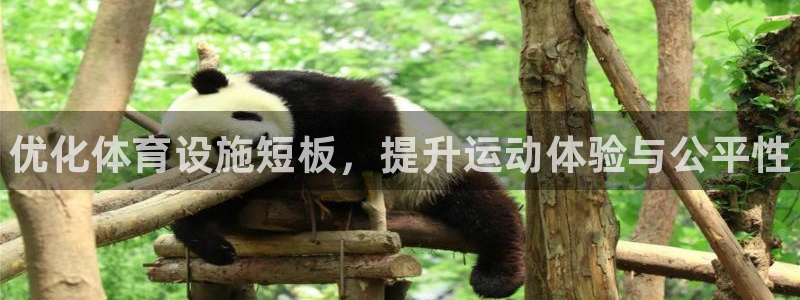 意昂3娱乐代理怎么样：优化体育设施短板，提升运动体验