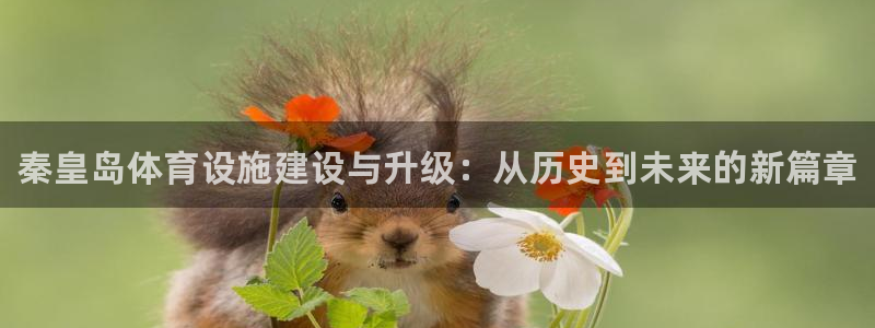 意昂体育3招商电话是多少号码：秦皇岛体育设施建设与升