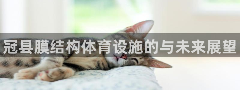 意昂3集团E.ON：冠县膜结构体育设施的与未来展望