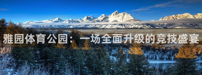 意昂体育3招商：雅园体育公园：一场全面升级的竞技盛宴