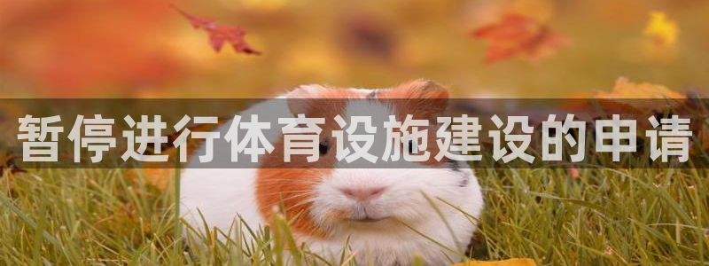 意昂3新能源：暂停进行体育设施建设的申请