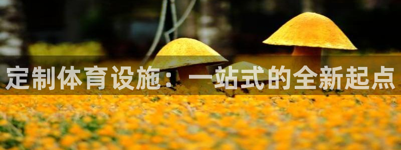 意昂体育3平台注册：定制体育设施：一站式的全新起点