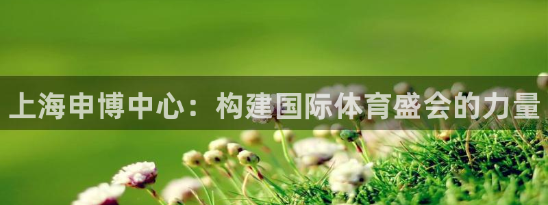 意昂3集团官网首页：上海申博中心：构建国际体育盛会的力量