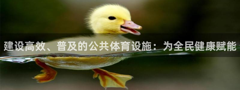 意昂体育3平台注册要钱吗：建设高效、普及的公共体育设施：为全 