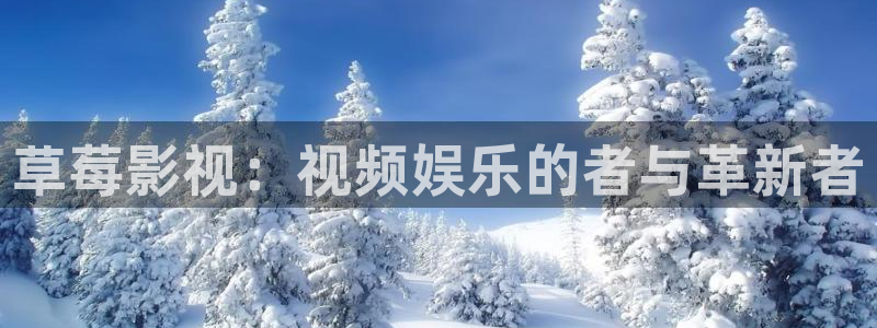 探花 prno 视频