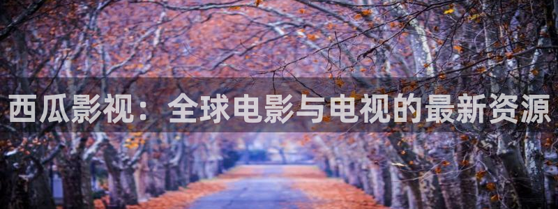 富二代探花视频