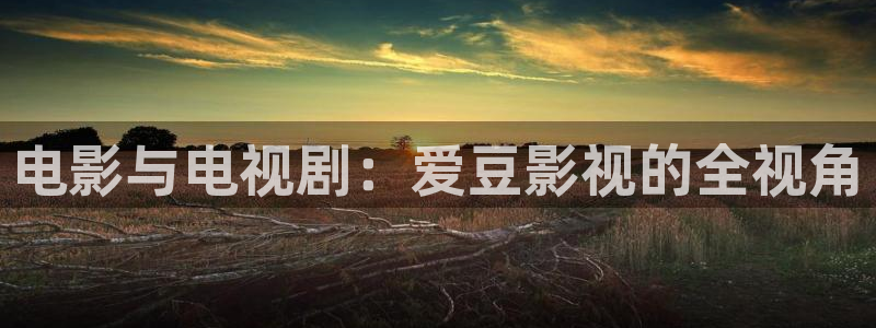 日本国产探花视频在线播放：电影与电视剧：爱豆影视的全视角