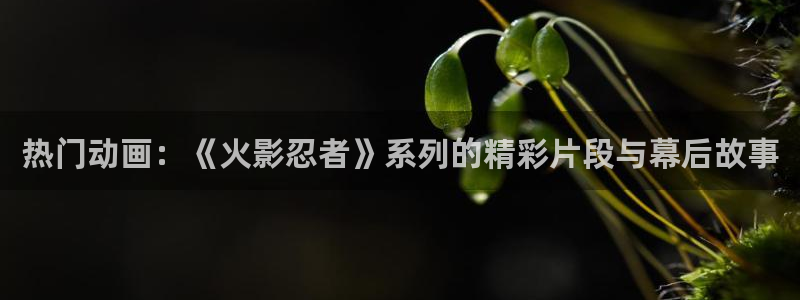 探花系列电影：热门动画：《火影忍者》系列的精彩片段与幕后故事