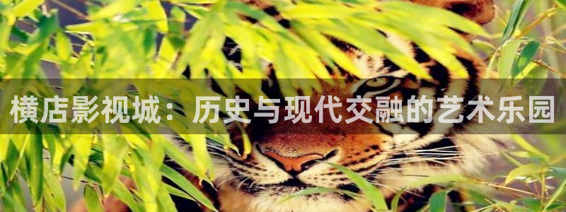 国产探花视频在线免费观看：横店影视城：历史与现代交融的艺术乐园