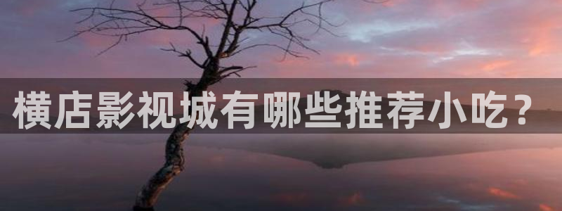 国产探花视频免费：横店影视城有哪些推荐小吃？