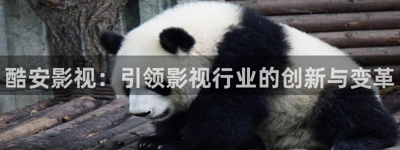 国产探花视频免费：酷安影视：引领影视行业的创新与变革