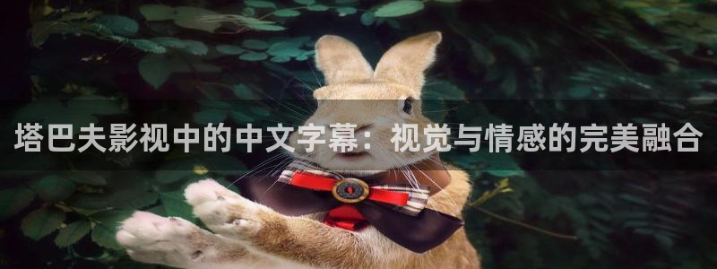 探花视频.