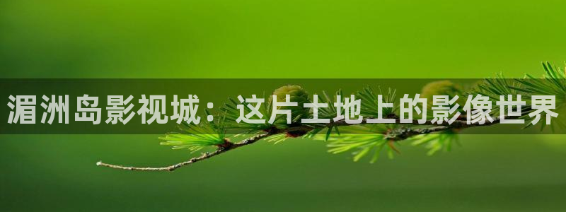 www.探花：湄洲岛影视城：这片土地上的影像世界