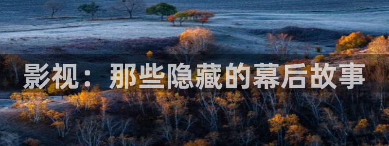 国产探花视频免费在线观看