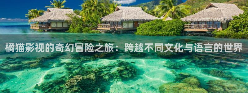 极品探花视频在线观看